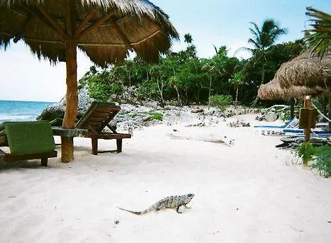 Azulik - Adults Only Hotel Tulum